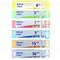 ALLIUM CEPA
