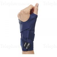 ATTEL MAIN POIG CARP IMMO D M