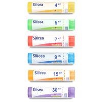SILICEA