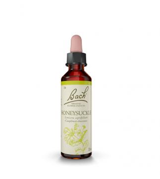 FLEURS DE BACH - n&deg;16 honeysuckle 20ml