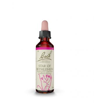 FLEURS DE BACH - n&deg;29 star of bethlehem 20ml