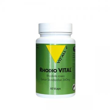 VIT'ALL - RHODIO VITAL 360mg - Extrait standardisé Rhodiola rosera 60 gélules végétales